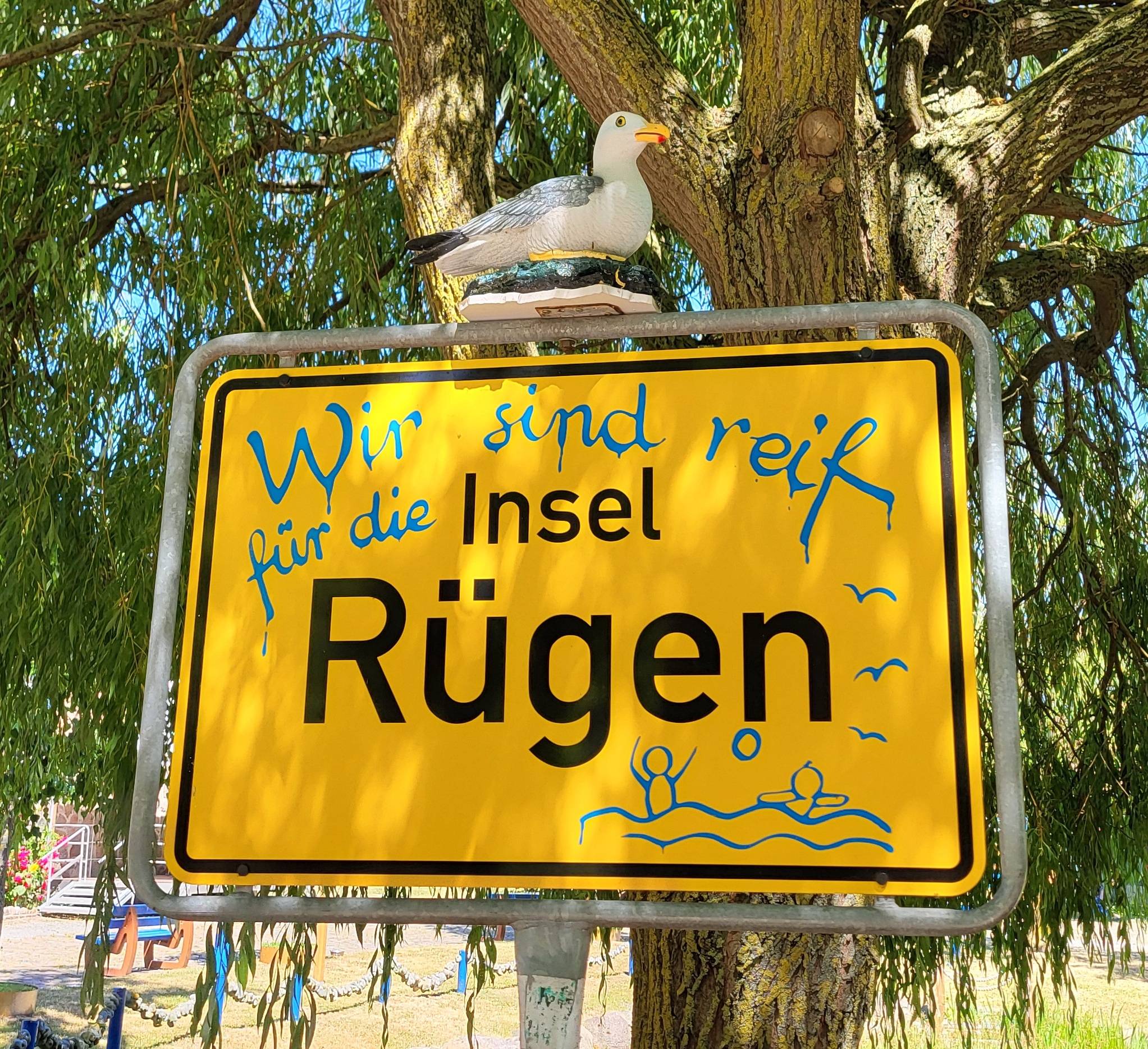 2.649 – Rügen, Tag 11